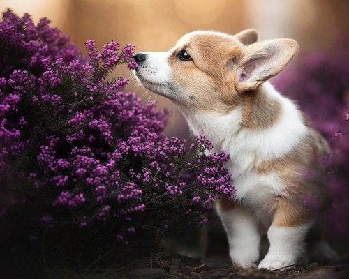  西安一日游：探索古都的历史与文化之旅