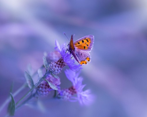 西安交通大学家具设计类怎么样