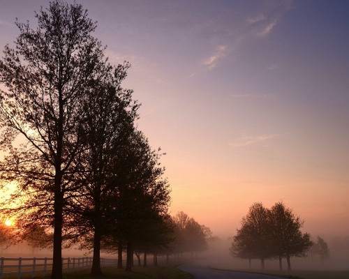 减额缴清是什么