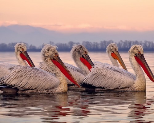  西安韦图服饰有限公司：为您提供高品质时尚服饰