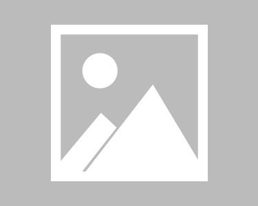 东方双狮手表官网