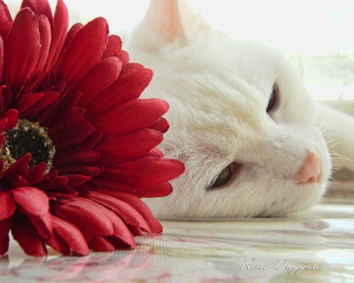 陕西宏达建设工程有限公司怎么样（陕西宏达建设工程有限公司怎么样啊）