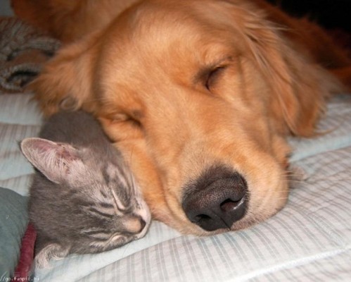 小规模纳税人起征点在哪些范围内适用