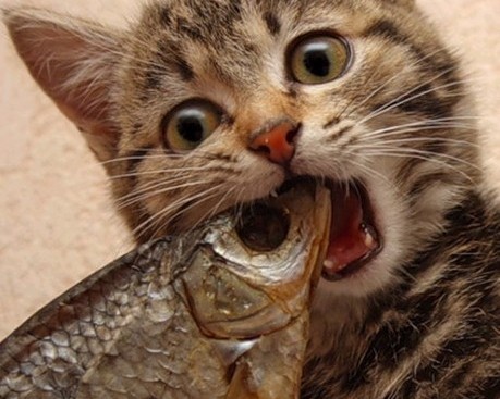  西安旅游咨询及西安旅游咨询中心电话详细咨询