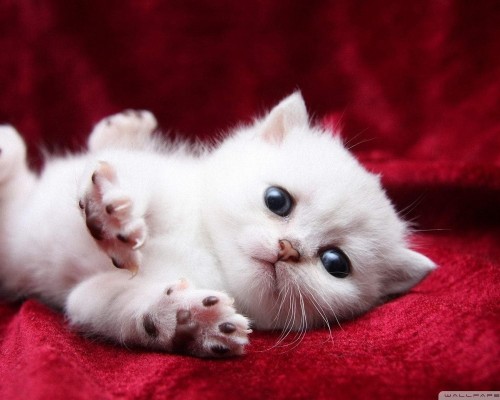 金坛市人民医院官网