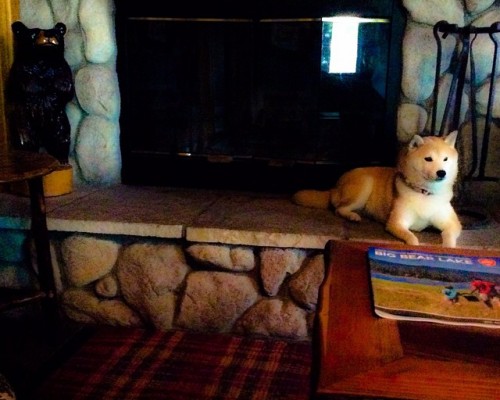 陕西科建房地产开发有限公司怎么样（陕西科建房地产开发有限公司怎么样啊）