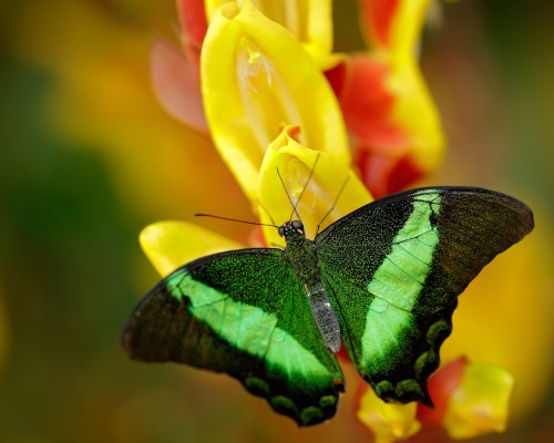 马鞍山市中医院官网