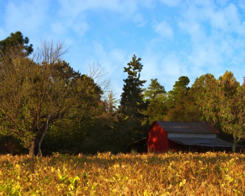 西安力高地产怎么样（西安力高地产怎么样啊）