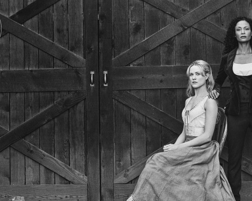 陕西茶叶品牌都有什么用， # 陕西茶叶品牌的价值与应用