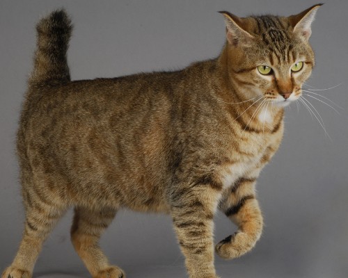 渭南市华仁医院怎么样（渭南市华仁医院怎么样啊）