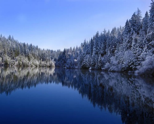 上海眼耳鼻喉科医院官网