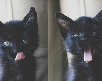  西安泰鑫源房地产开发有限公司及西安泰鑫源房地产开发有限公司开发项目——开创美好生活的地标