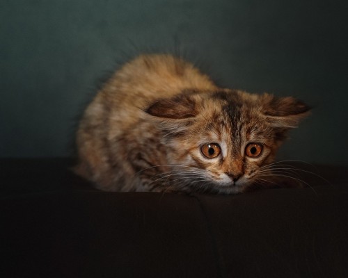  西安四通工控有限公司——为您提供专业工业控制解决方案