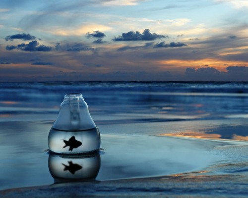 给客户送什么陕西特产好， 陕西特产送礼攻略：品味千年文化，传递深厚情谊