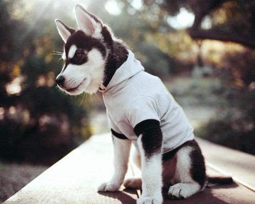 西安大众科目二考场怎么样（西安大众科目二考场怎么样啊）