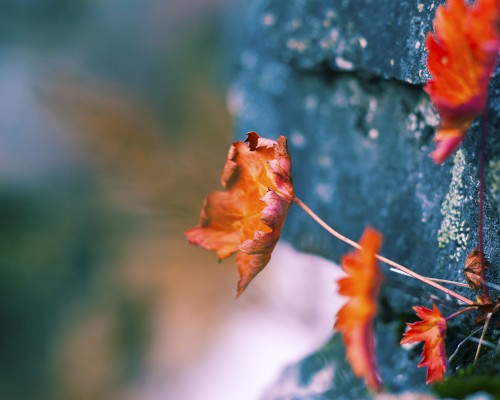  西安九州通医药有限公司及西安九州通医药集团：提供高品质医药产品和全方位健康解决方案