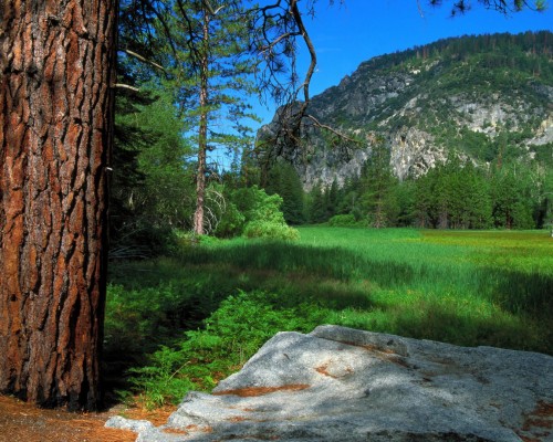 饶河县人民医院官网
