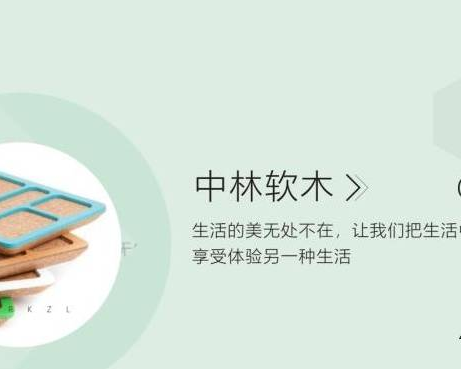 西安中林软木科技发展有限公司