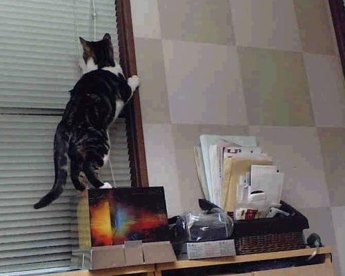 西安北瑞三元仪表科技有限公司怎么样（西安北瑞三元仪表科技有限公司怎么样啊）