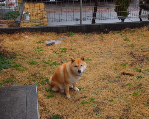 宝鸡荔家村怎么样（宝鸡荔家村怎么样好玩吗）