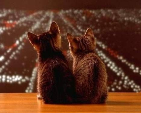 西安中瑞物业怎么样（西安中瑞物业怎么样啊）