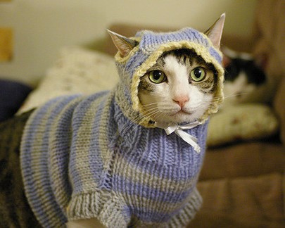  西安旭鹰商贸有限公司招聘及旭鹰科技有限公司