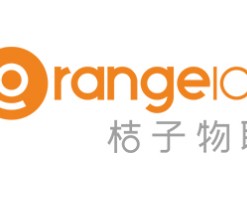 桔子物联智能锁