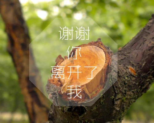 在咸阳开家宠物寄养所怎么样