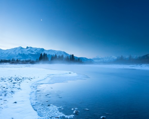 如何区分进项税额转出和进项税红字冲减