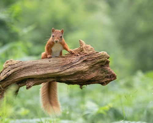 长春市人民医院官网