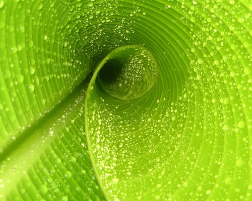  西安华山旅游攻略：探寻古老文化与自然美景的精华之地