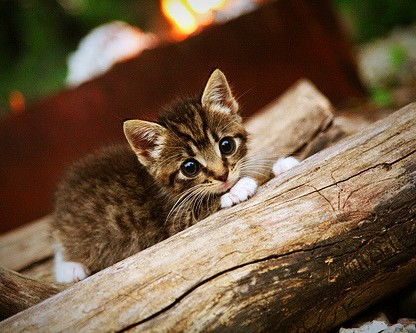 陕西大唐电子有限公司怎么样（陕西大唐电子有限公司怎么样啊）