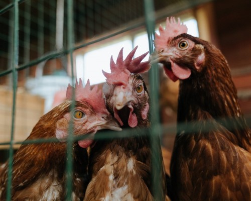 衡阳市蒸湘区蒸湘医院官网