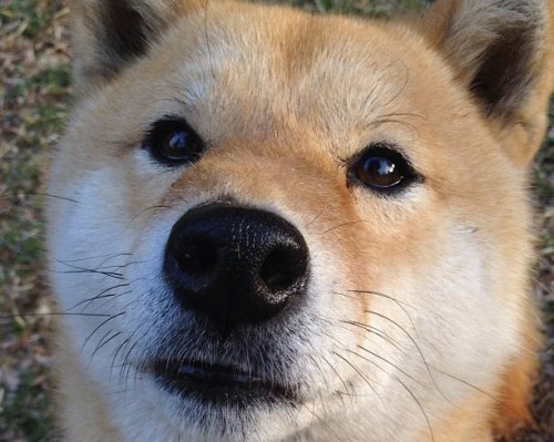 公司取名的大师(转载)