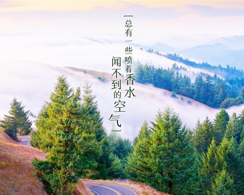  西安到张家界自驾游及沿途景点介绍