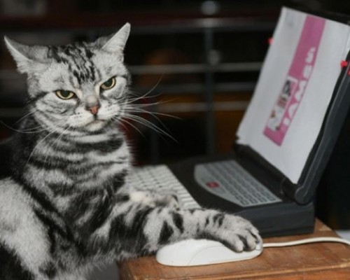  西安旅行社哪家好？西安旅行社哪家好些？