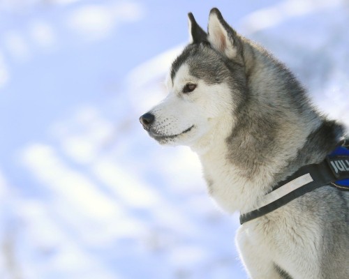 陕西天虹电子科技有限公司待遇怎么样（陕西天虹电子科技有限公司待遇怎么样啊）