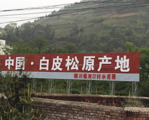 蓝田县美林种植园