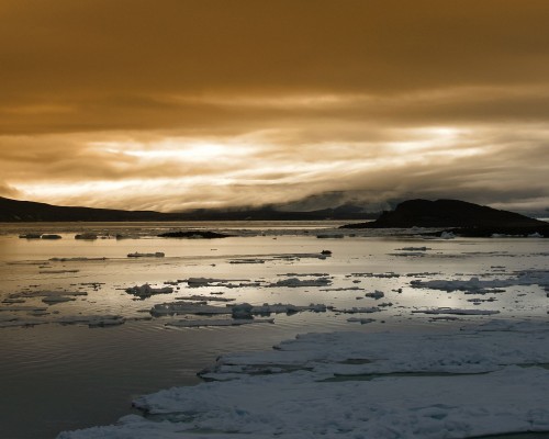西安冰龄化妆品有限公司招募合作伙伴，与大家共同抢占直播和短视频给我们带来的红利！