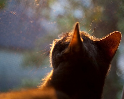 咸阳帝景怎么样（咸阳帝铂酒店）