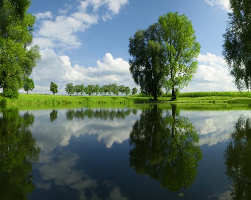 陕西养老金每年什么时候交， 陕西养老金每年交款时间及相关政策解析