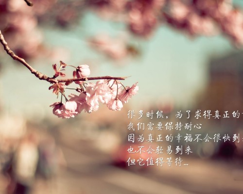 鹿特丹精英队官网