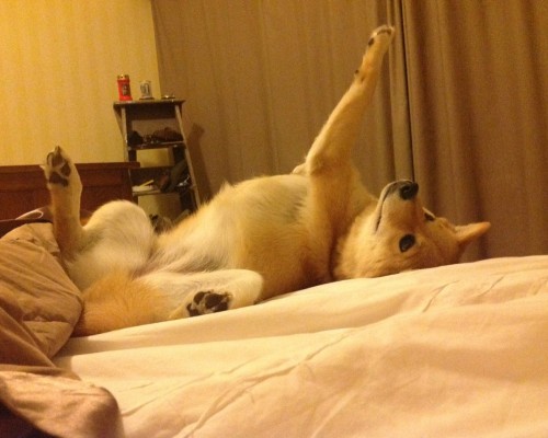 西安伊克赛尔汽车怎么样