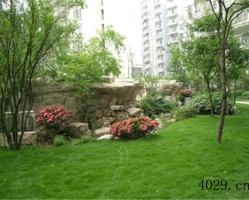 陕西杨凌大盛园林绿化有限公司