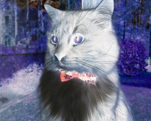  西安海泉湾团购及西安海泉湾团购平台