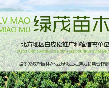 西安绿茂苗木有限公司