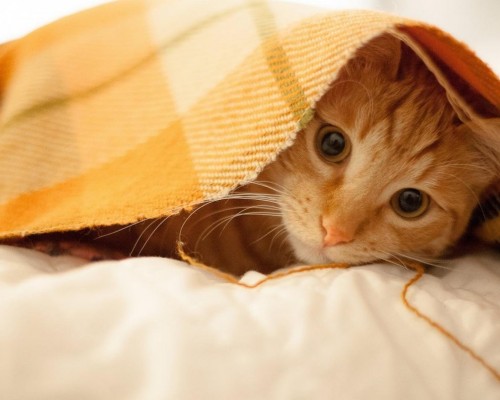 陕西云海投资管理有限公司怎么样（陕西云海投资管理有限公司怎么样啊）