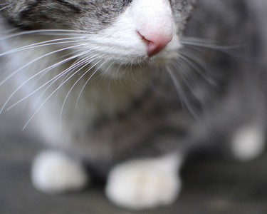 西安远大鑫诚电商怎么样（陕西远大鑫诚怎么样）