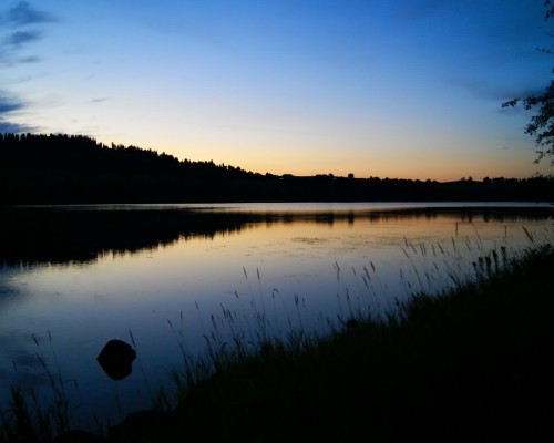 农业企业是不是不用交增值税和所得税