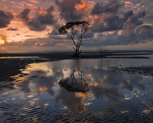 汉中明德学校高考怎么样（汉中明德学校高考怎么样啊）